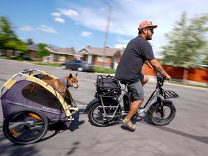 (Francisco Kjolseth | The Salt Lake Tribune) Bike commuter Dave Orozco, who got rid of his car more than a year ago, transports his dog Kona in a trailer as he makes his way home on his e-bike following a visit to the park in Salt Lake City on Monday, May 22, 2023. 