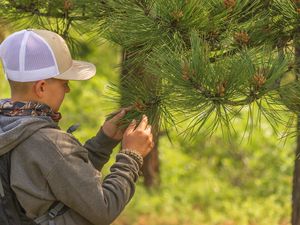 (Adobe Stock | University of Utah, sponsored)  Fun ways to keep your children's minds active this summer.